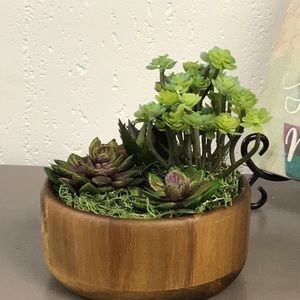 Wooden Bowl - Succulent Arrangement
